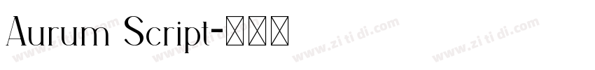 Aurum Script字体转换